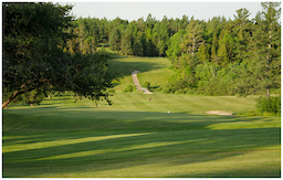 Course Image 4