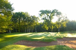 Course Image 4