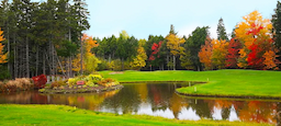 Course Image 2