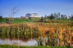 Course Image 2