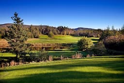 Course Image 4