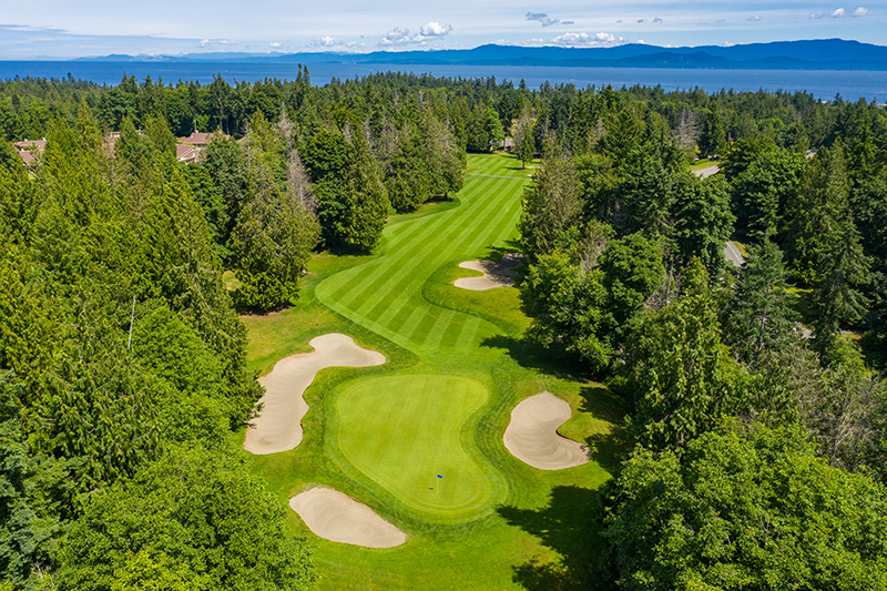 Course Image 2