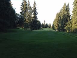 Course Image 3