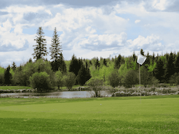 Course Image 4