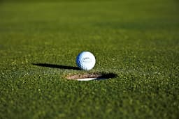 Course Image 1