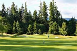 Course Image 3