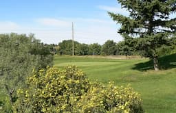 Course Image 1