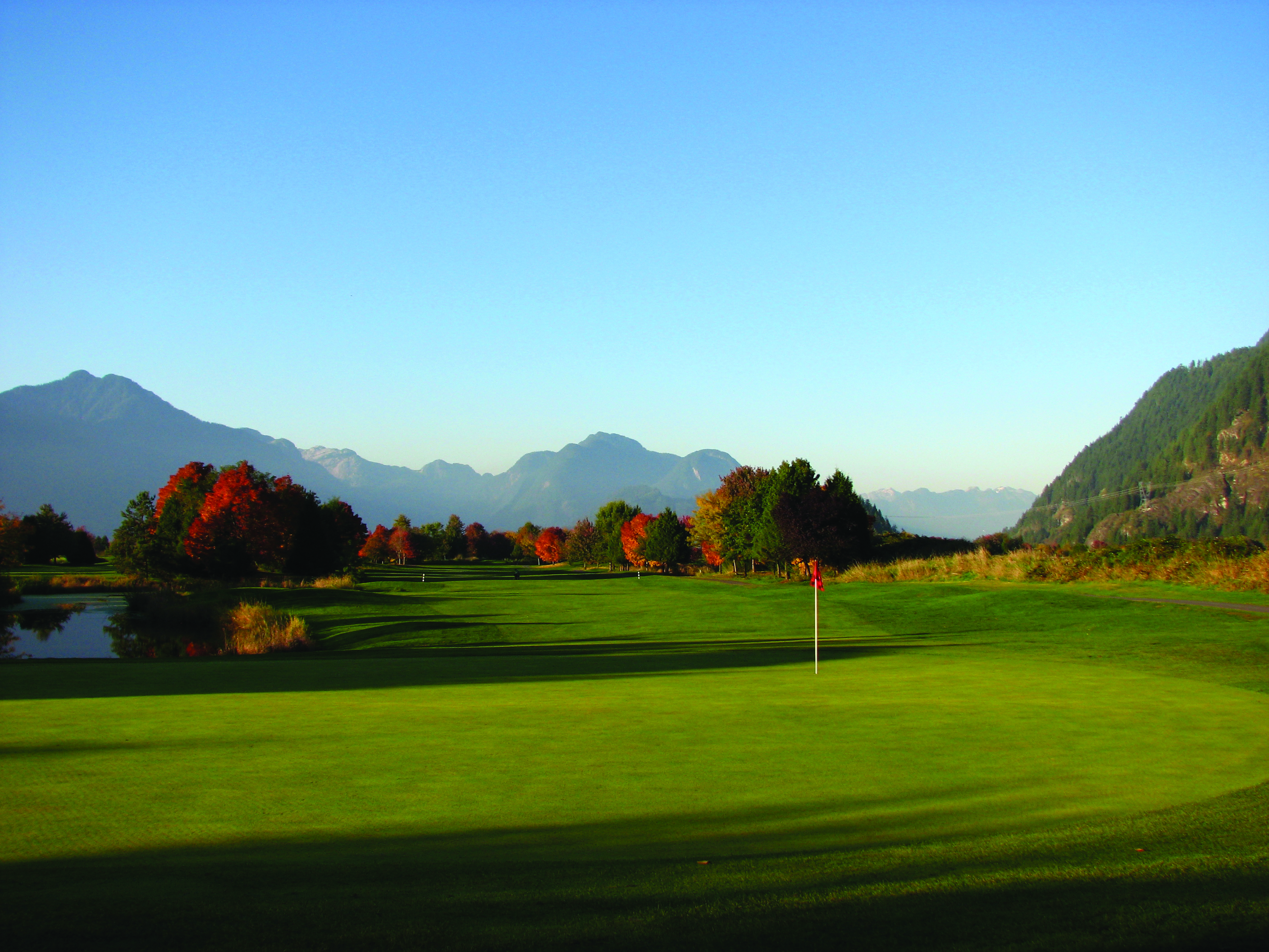 Course Image 3