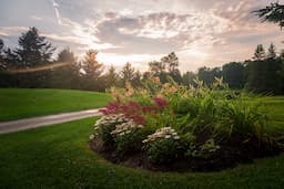 Course Image 2