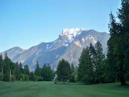 Course Image 3