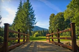 Course Image 2