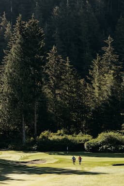 Course Image 4