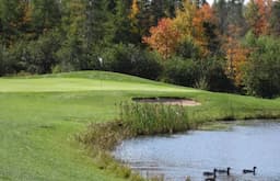Course Image 1