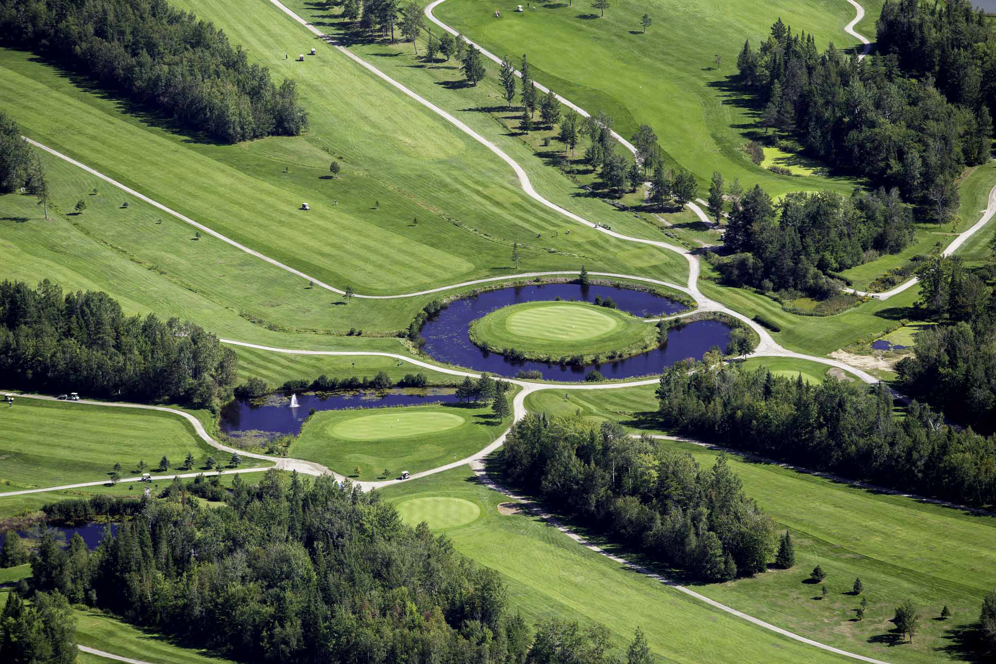 Le Club de golf Venise — photo 1