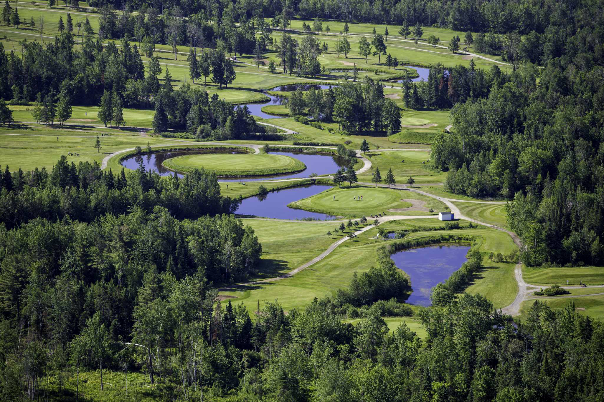 Le Club de golf Venise — photo 3