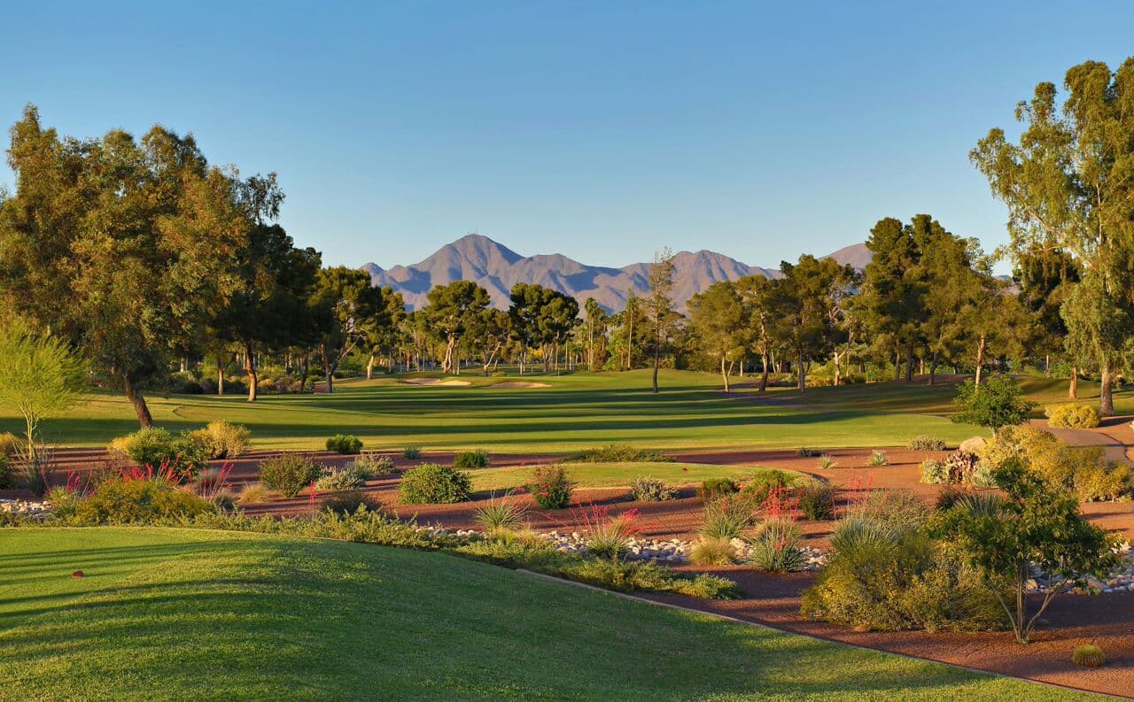McCormick Ranch Golf Club – Palm Course — photo 4