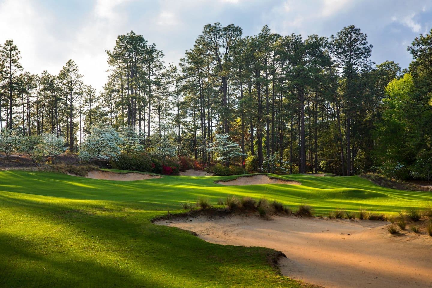 Pine Needles Lodge & Golf Club — photo 3