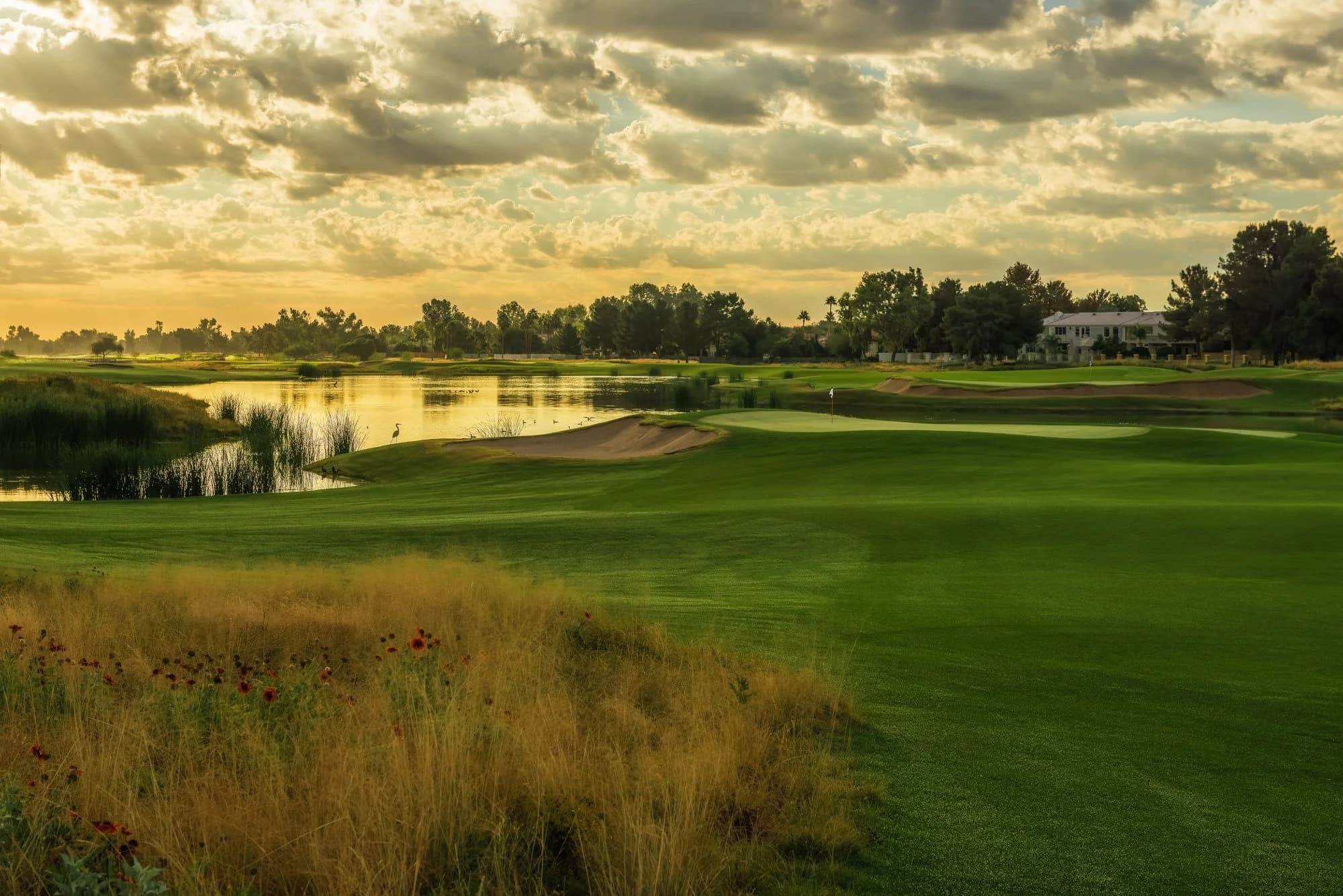 Camelback Golf Club – Ambiente Course — photo 4