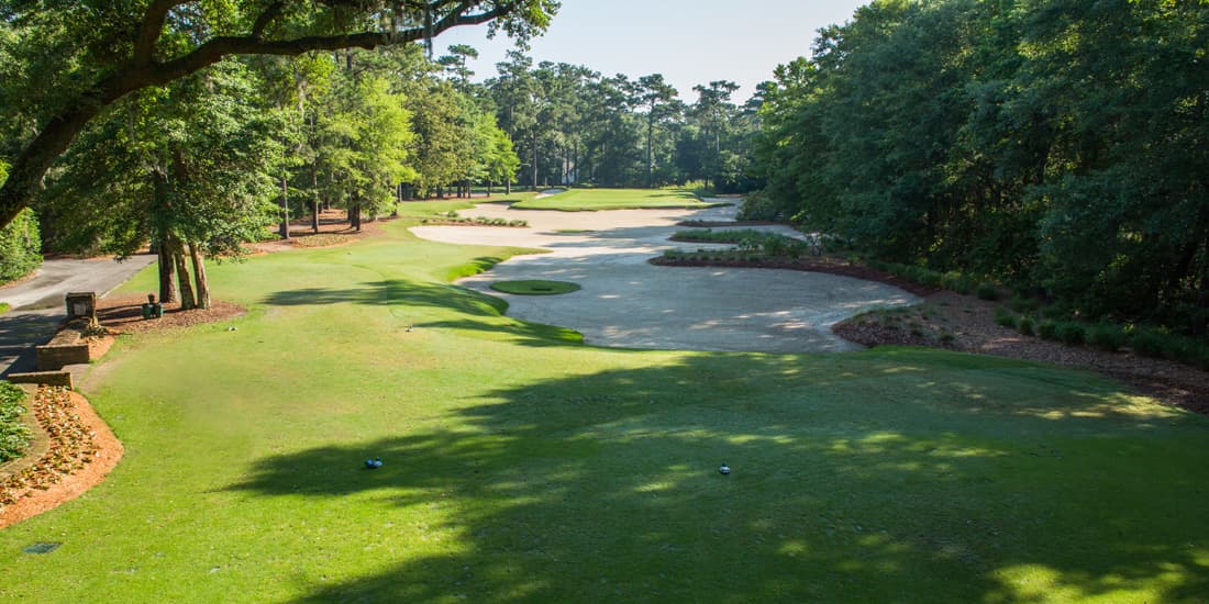 Caledonia Golf & Fish Club — photo 3