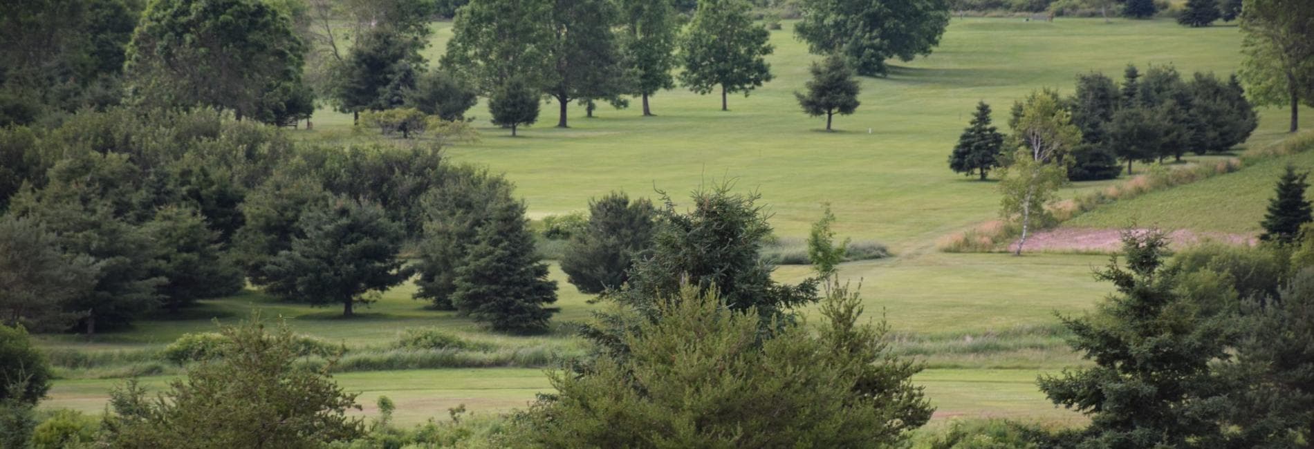 Brookfield Golf & Country Club — photo 1