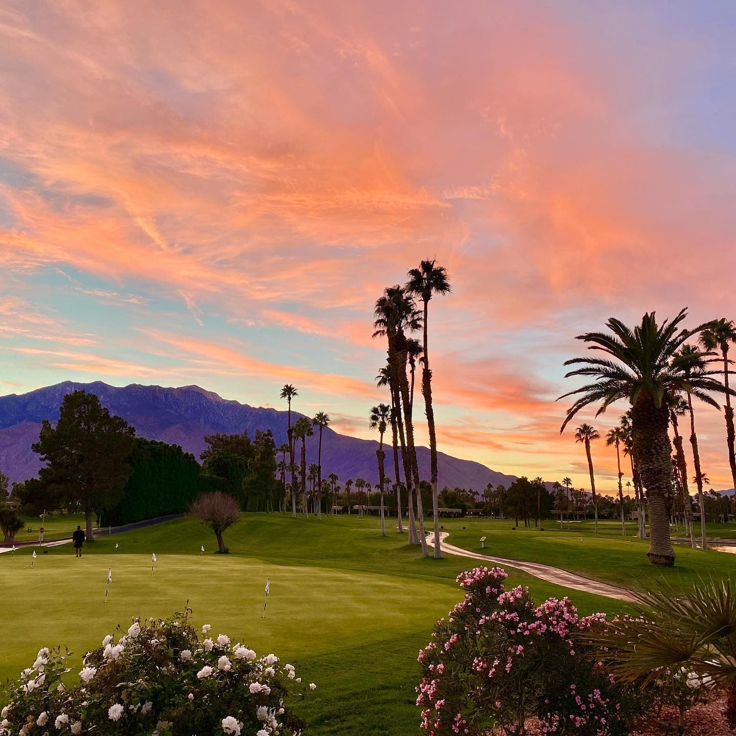 Desert Princess Country Club — photo 4
