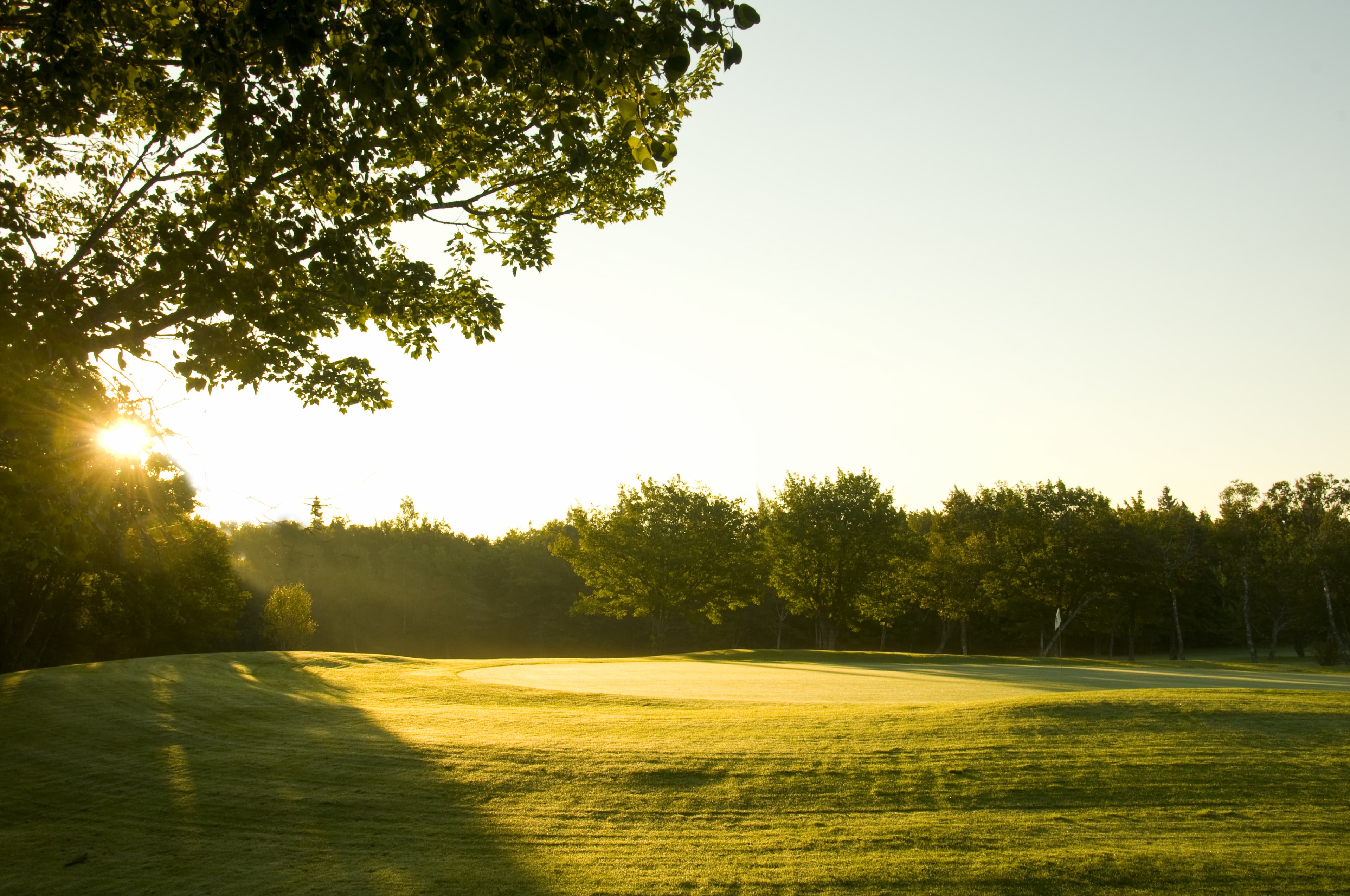 Lingan Golf Club golf course