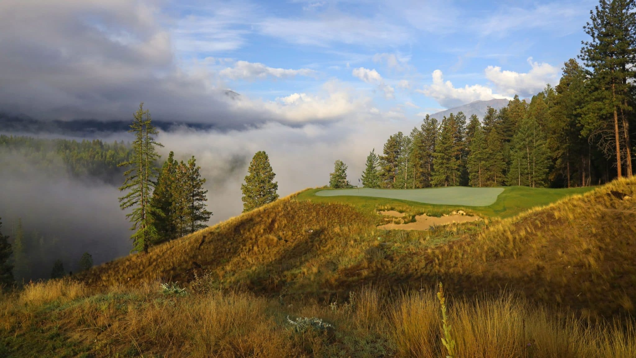 Purcell Golf golf course in 415 302 Ave, Kimberley, BC V1A 3G5, Canada