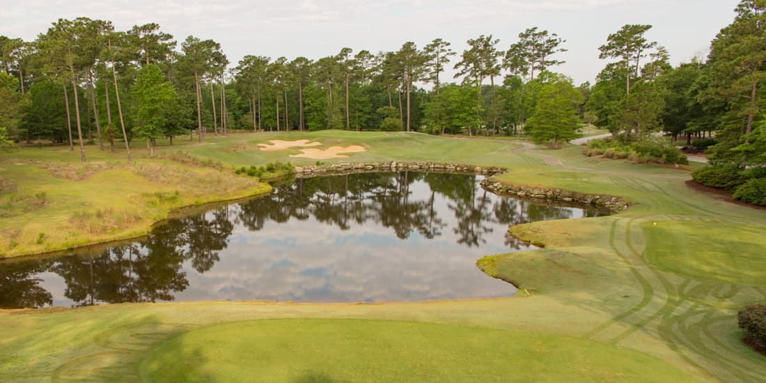 Tiger’s Eye Golf Links — photo 2