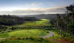 Course Image 2