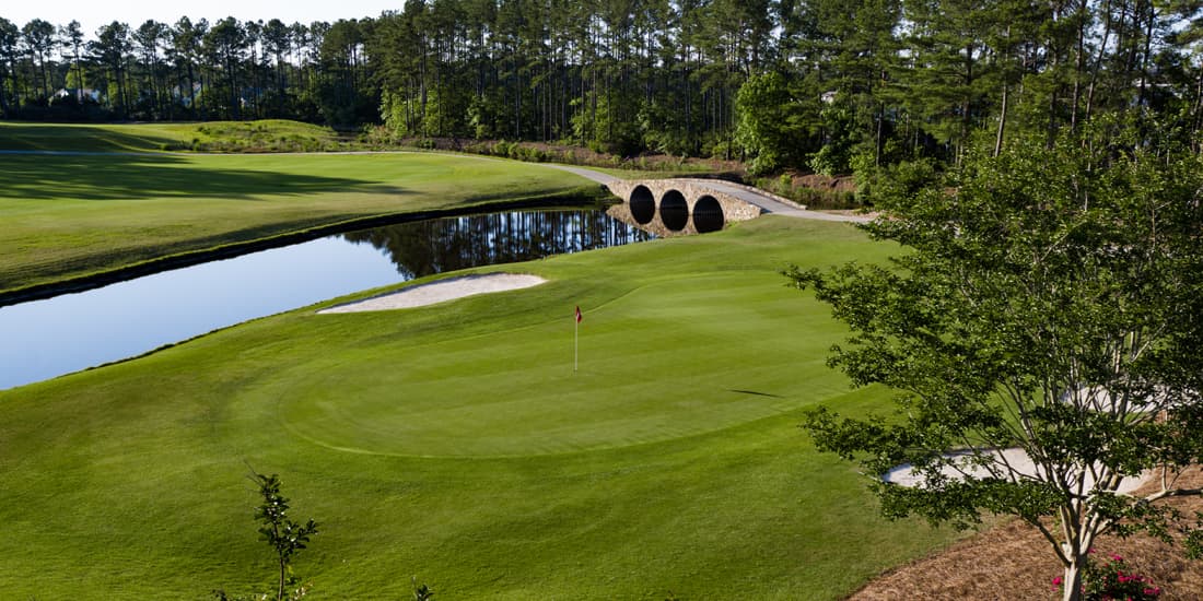 World Tour Golf Links — photo 5