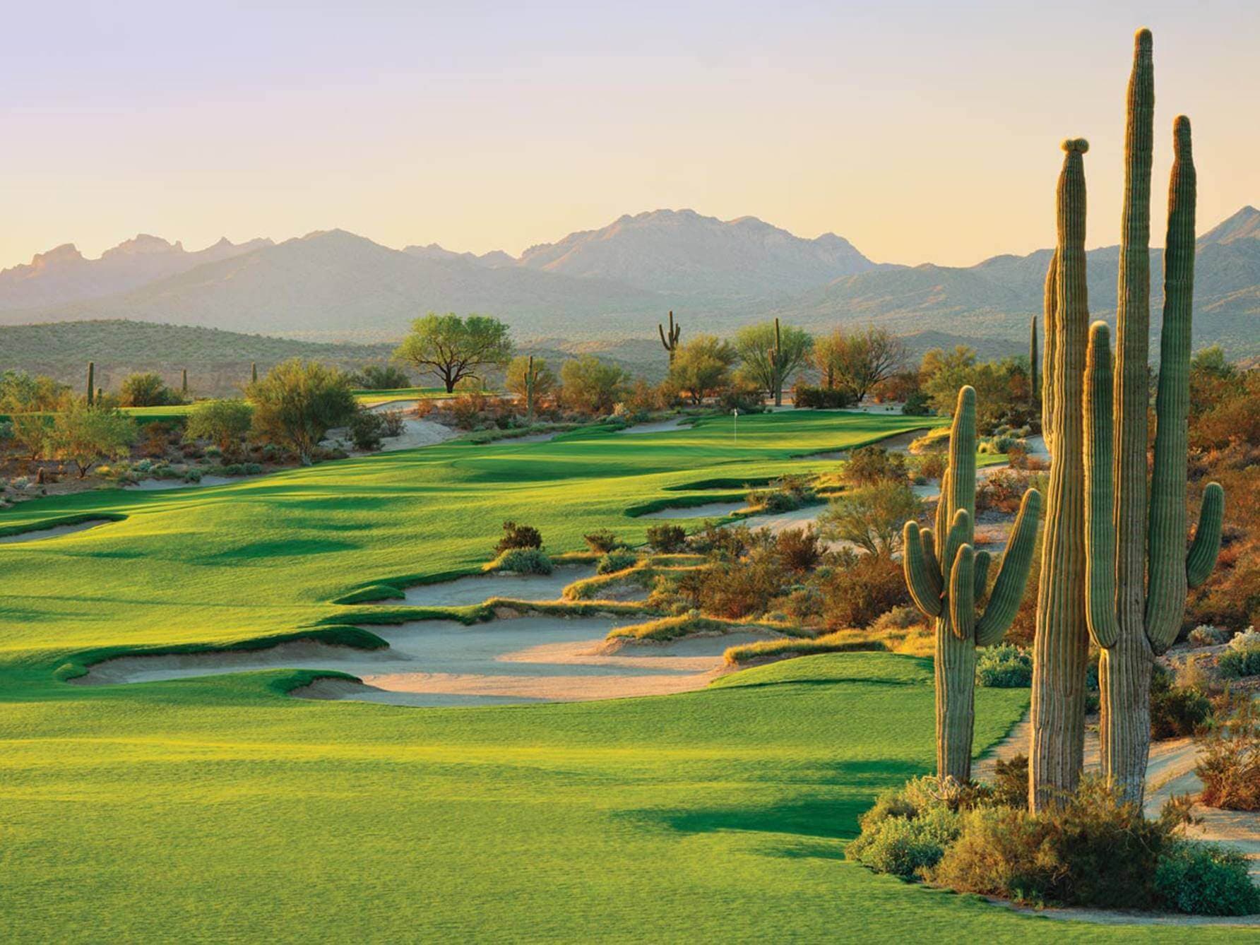 We-Ko-Pa Golf Club – Saguaro Course — photo 5