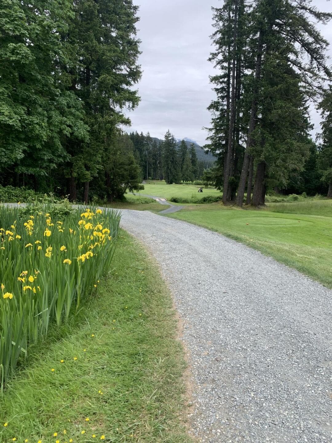 Alberni Golf Club — golf in British Columbia