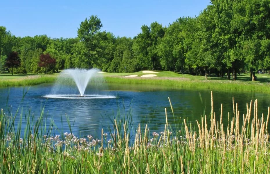 Beach Grove Golf & Country Club — photo 1