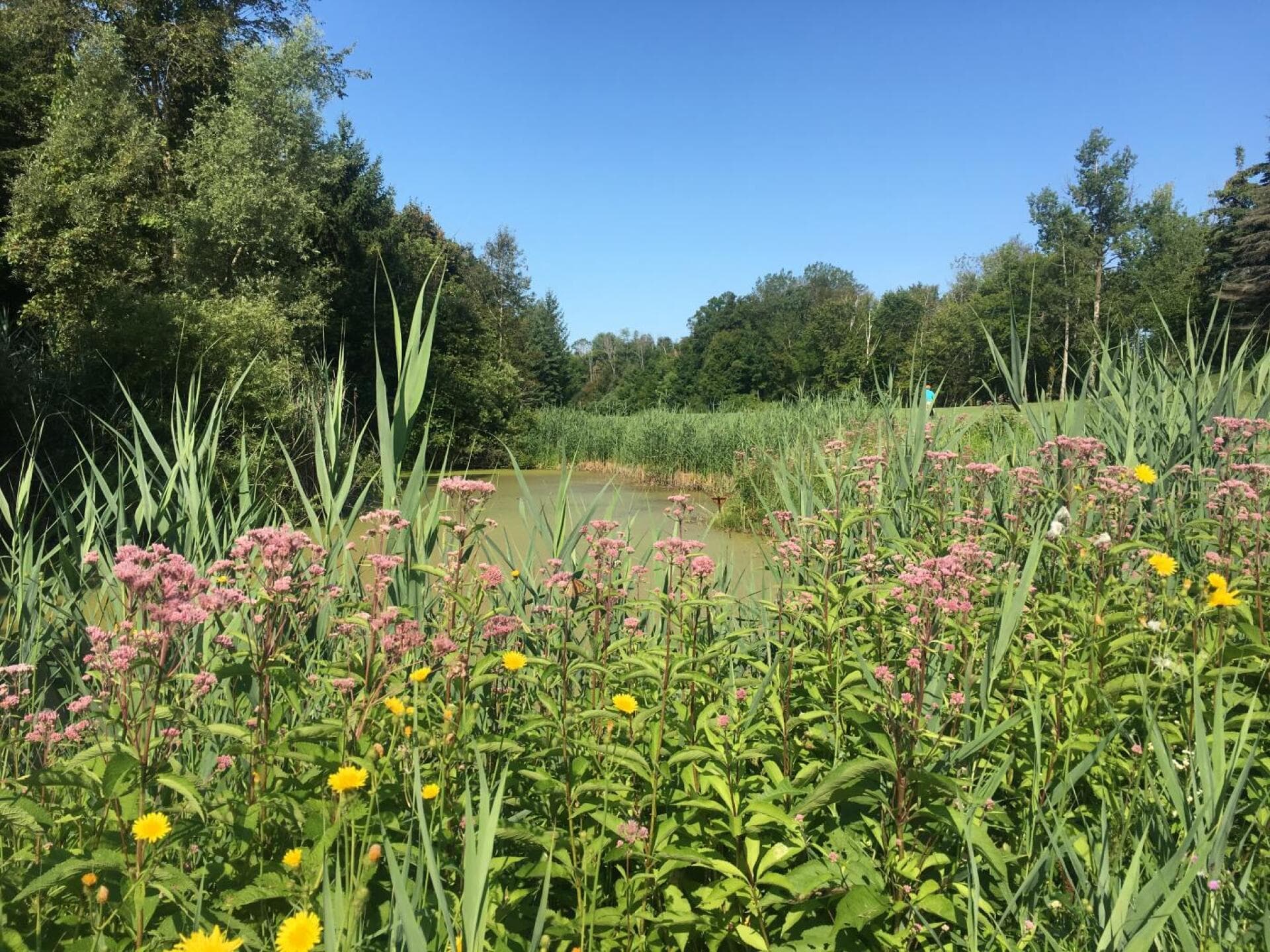Black Creek Golf Club — photo 3