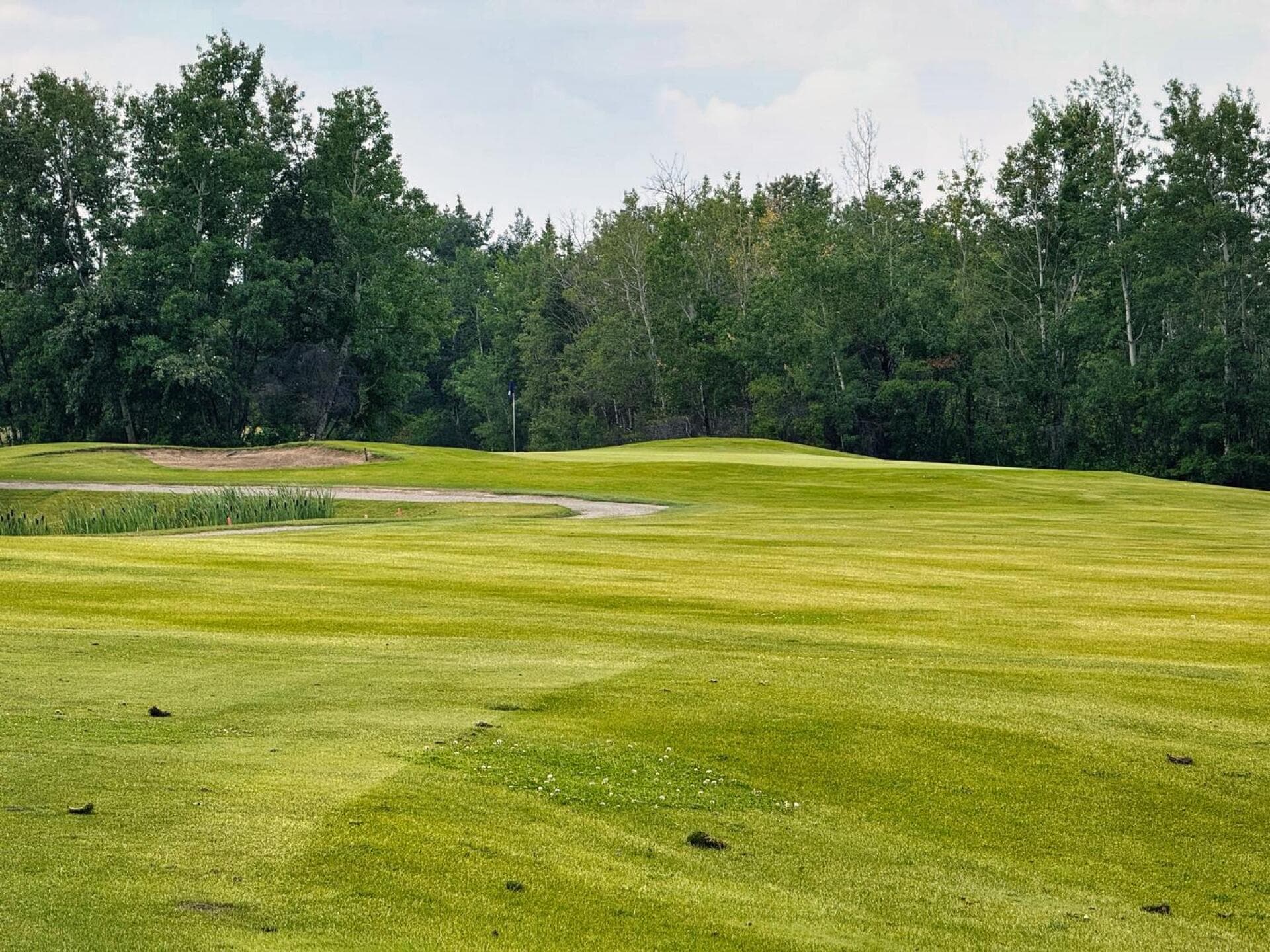 Bonnyville Golf & Country Club — golf in Alberta