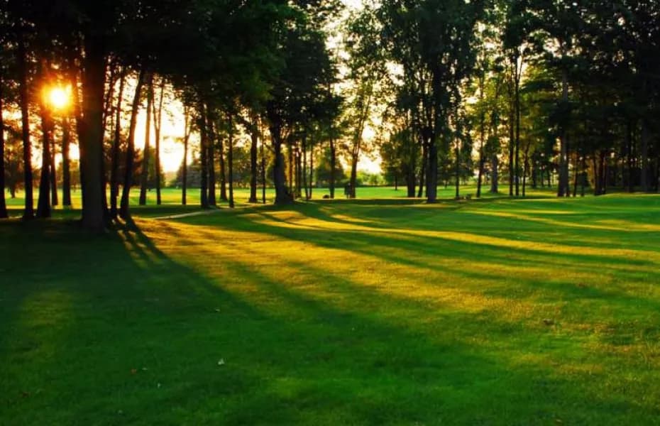 Burford Golf Links — photo 3