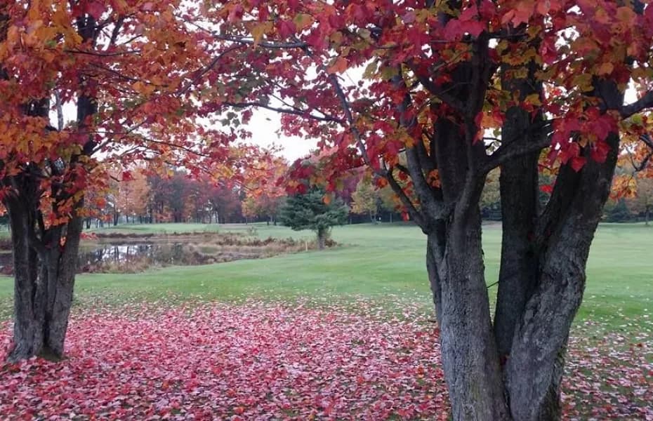 Charny Golf Club — photo 2