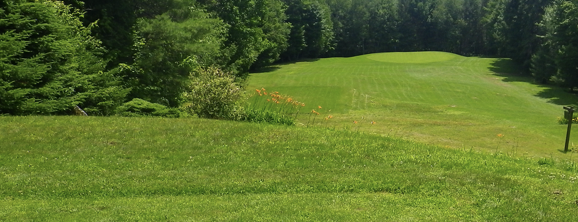 Dunany Country Club — photo 4