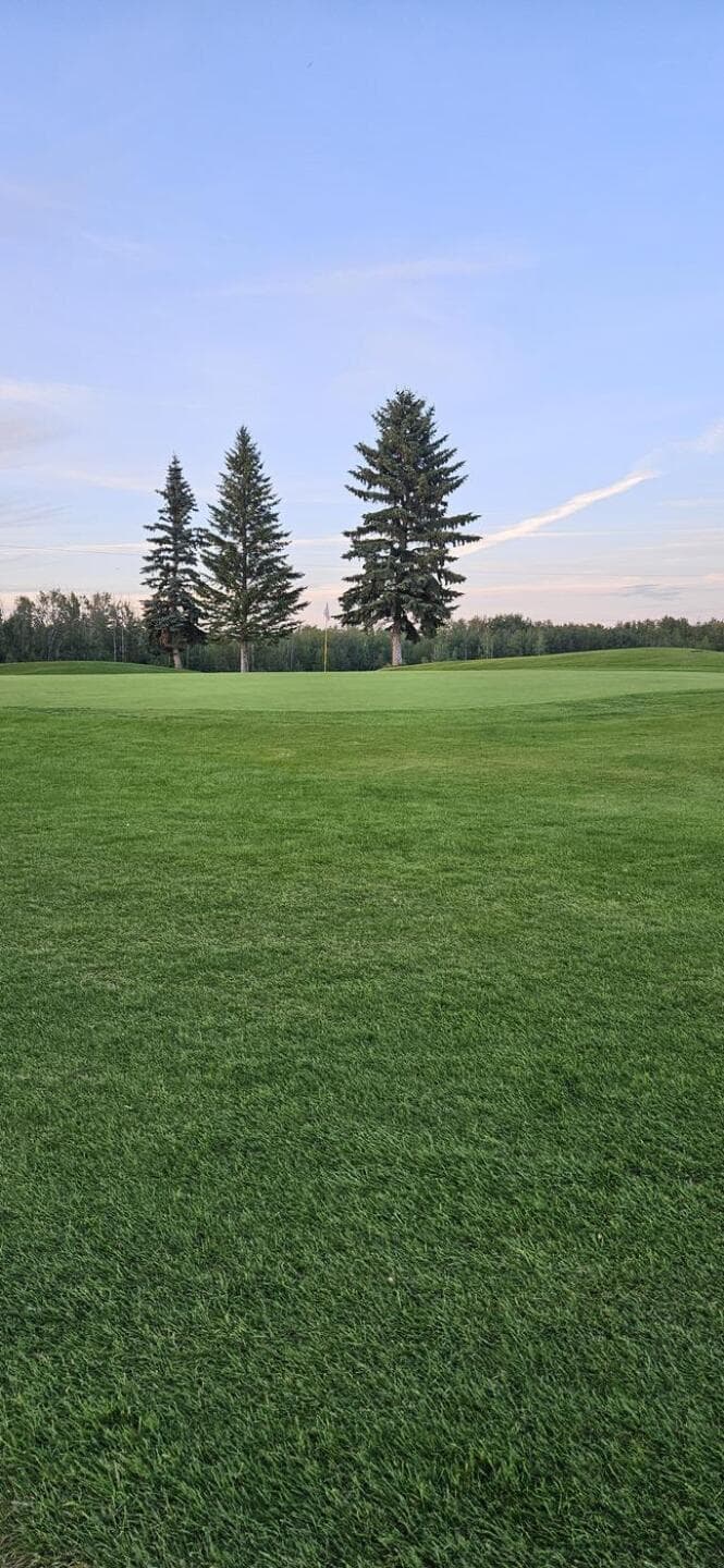 Edmonton Springs Golf Resort — photo 3