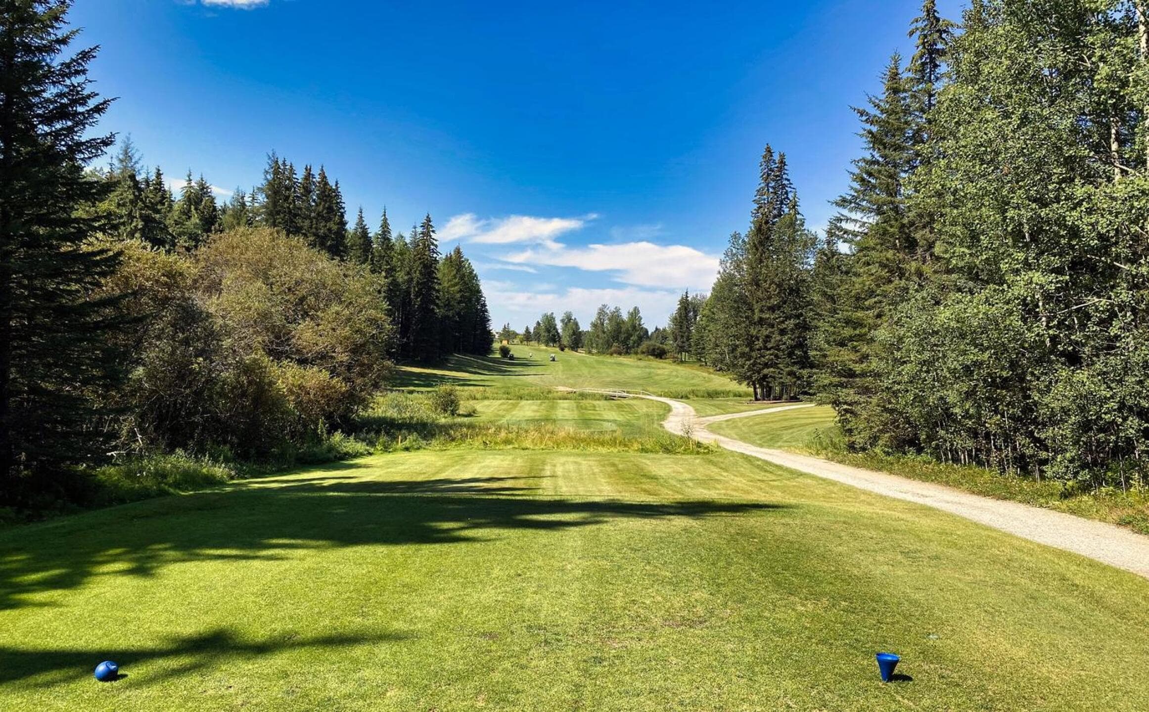 Edson Golf Club — photo 2