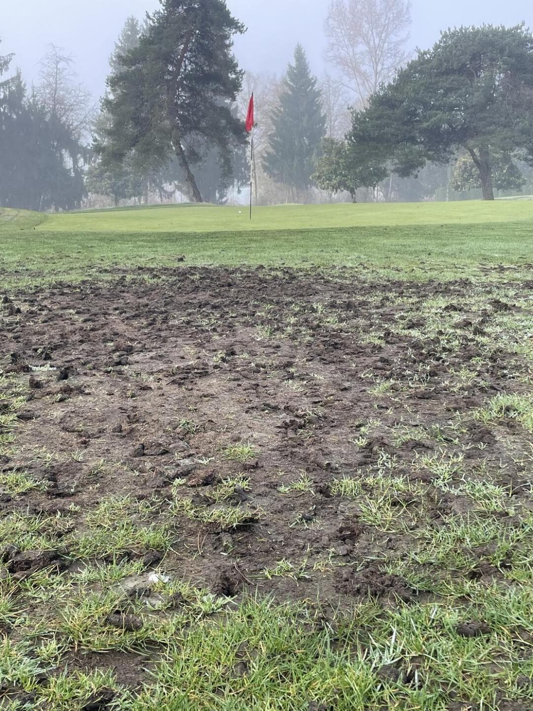 Fort Langley Golf Course — photo 1