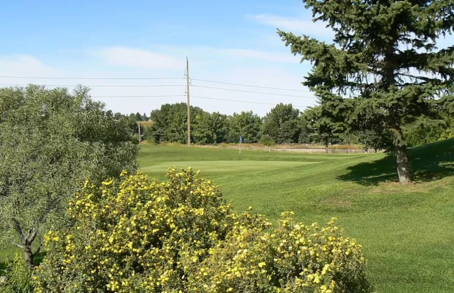 Fox Hollow Golf Course golf course