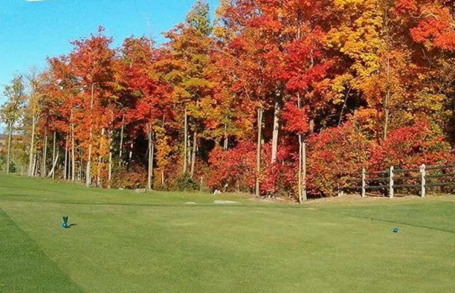 Glengarry Golf & Country Club — photo 3