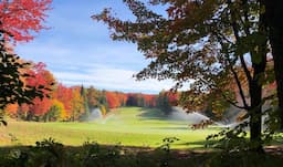 Course Image 5