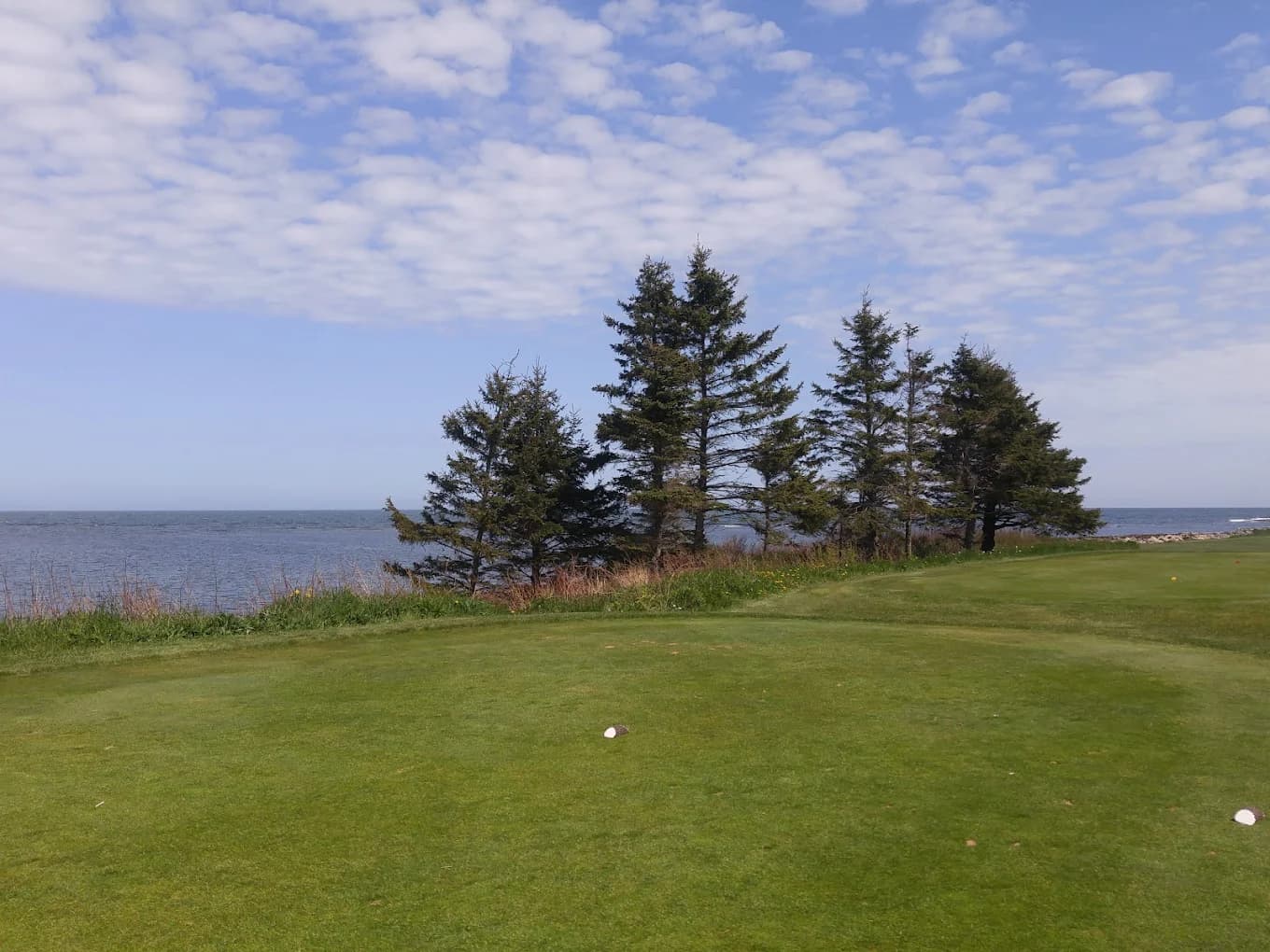 Hartlen Point Forces Golf Club — photo 2