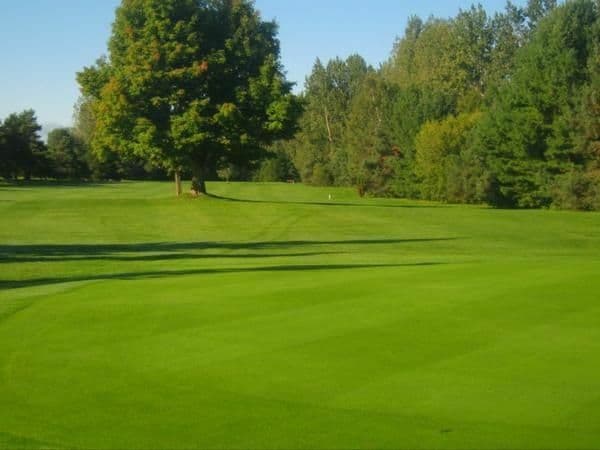 Madawaska Golf - Twisted Pines — photo 1