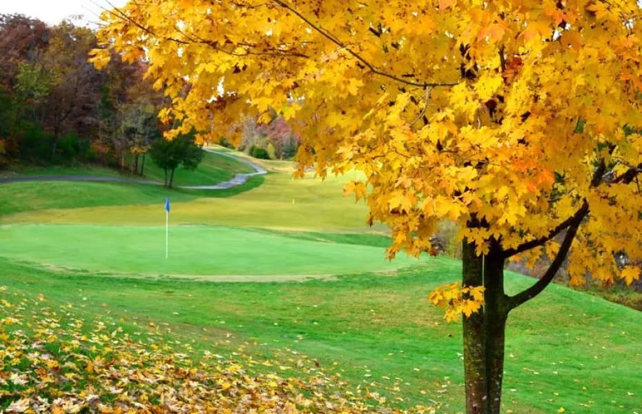 Grand Pines Golf Course — golf in Manitoba