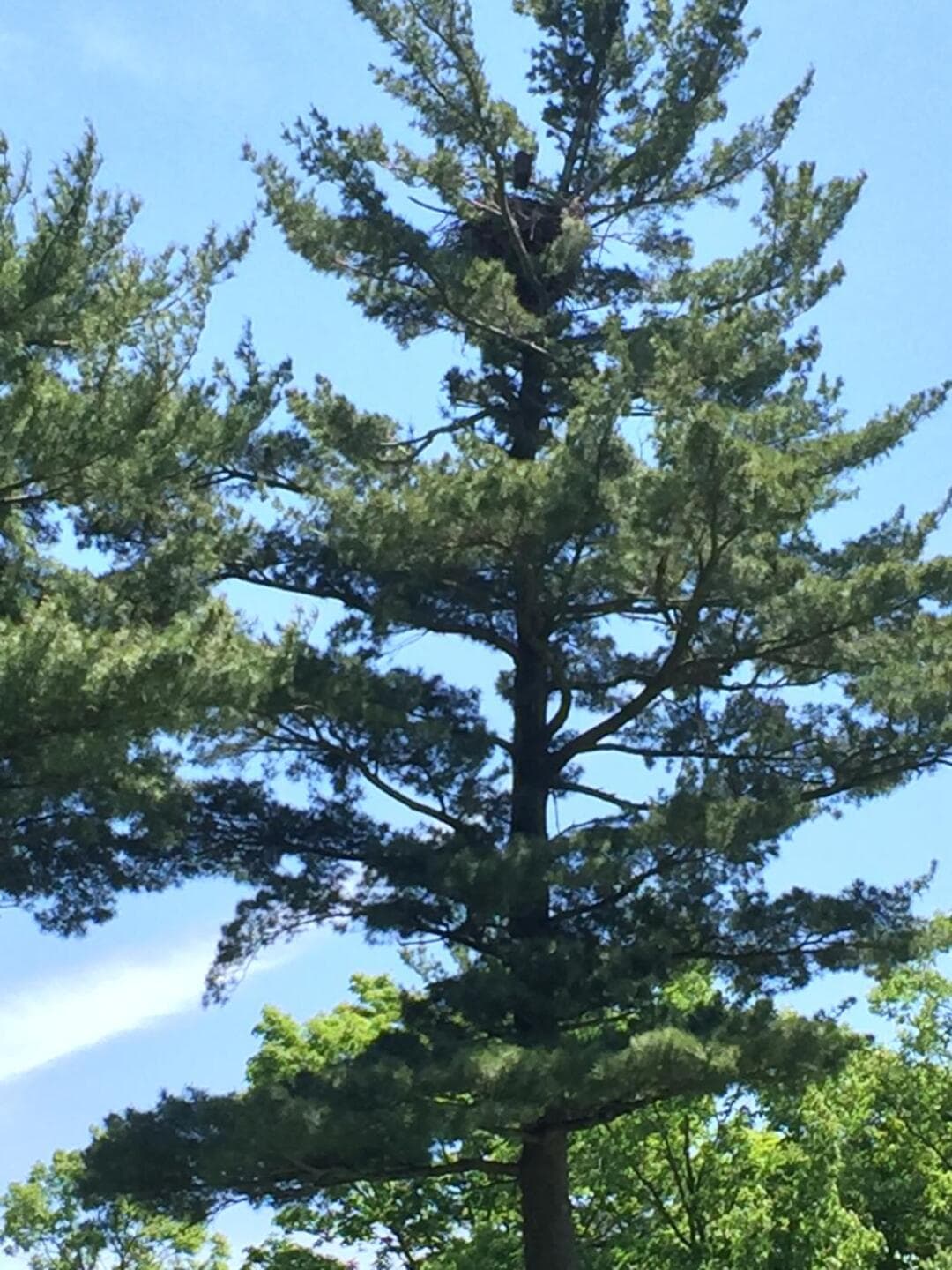 Heron Point Golf Links — photo 1