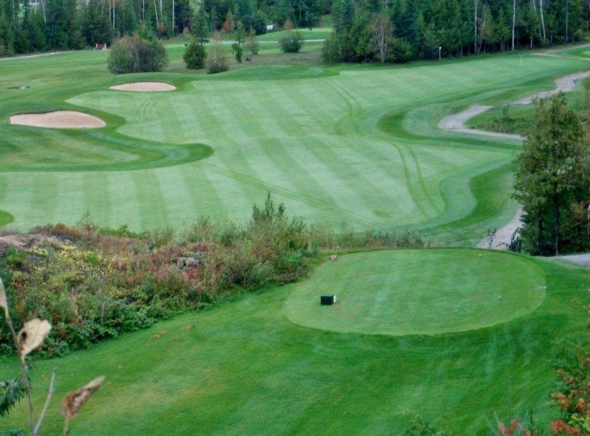 Hollinger Golf Club — photo 1