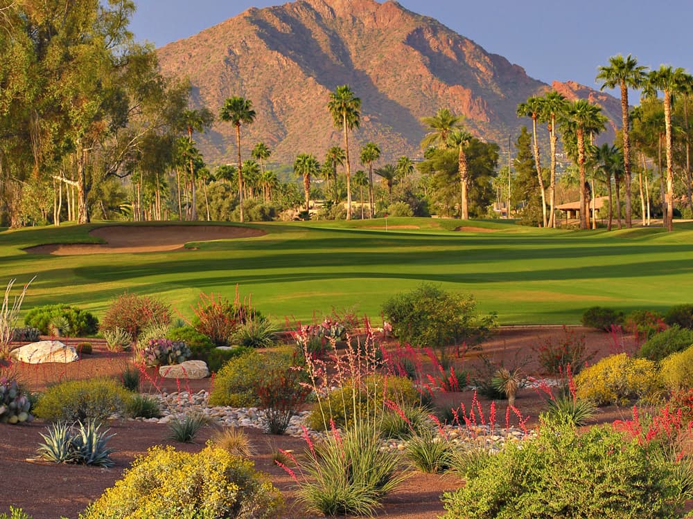 McCormick Ranch Golf Club – Palm Course — photo 5